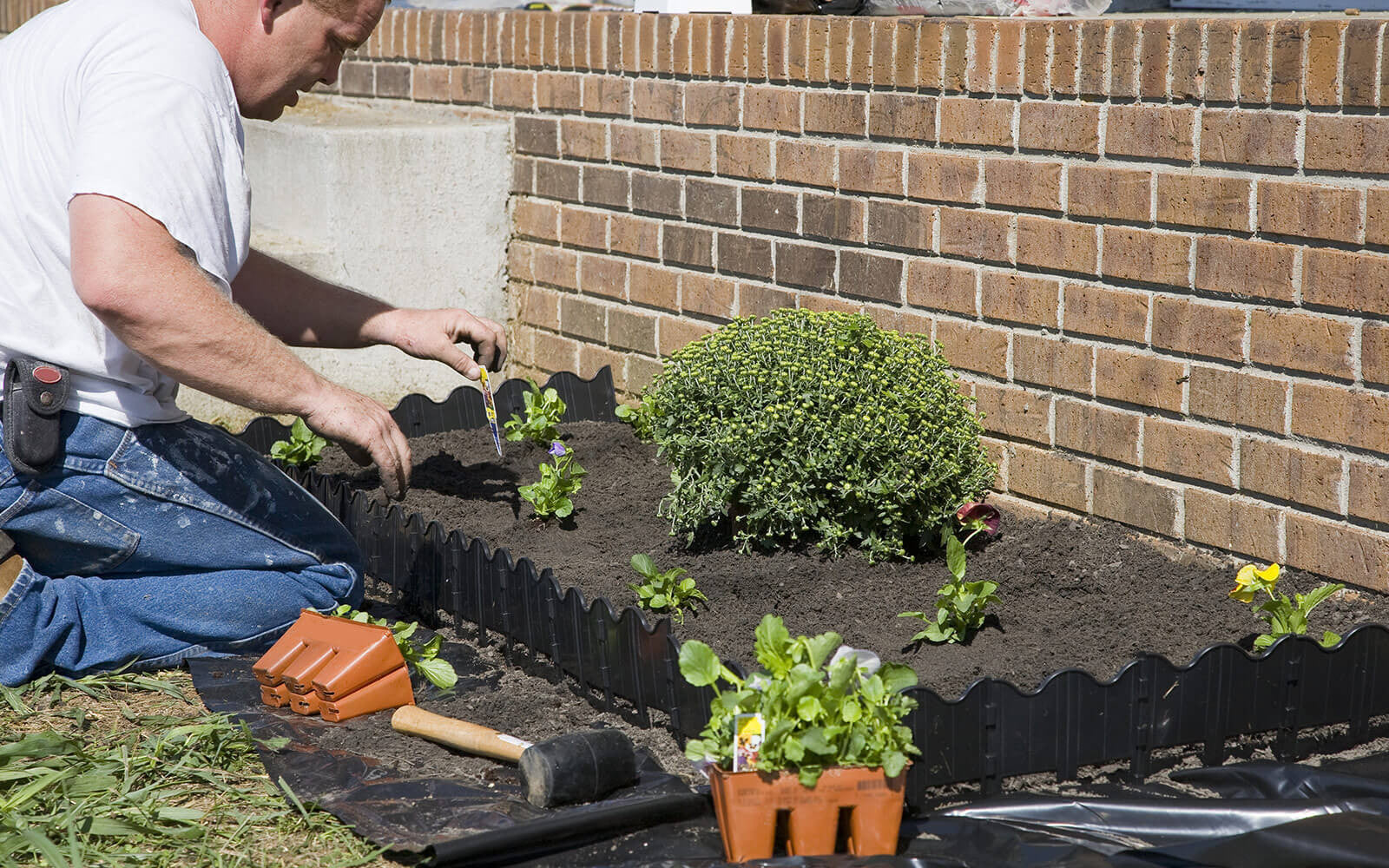 Raised bed gardening around your house