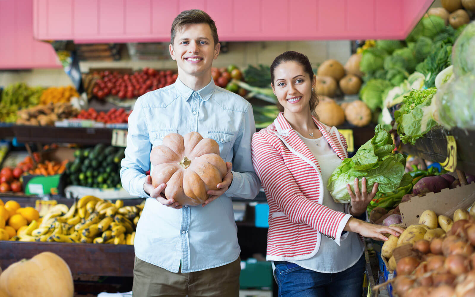 Harvest of Organic fruits and vegetables