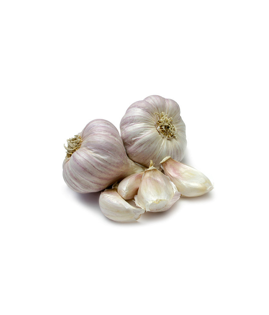 Garlice
